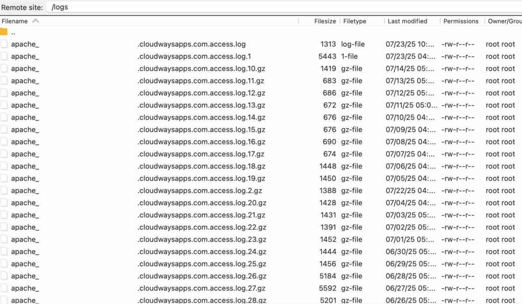 access log files